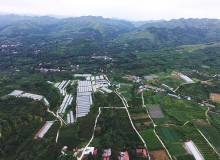青州王坟镇:有机农业走俏市场